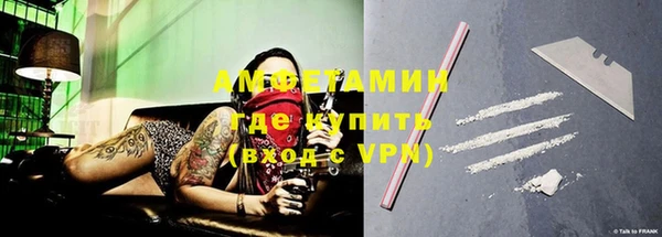 шишки Абаза