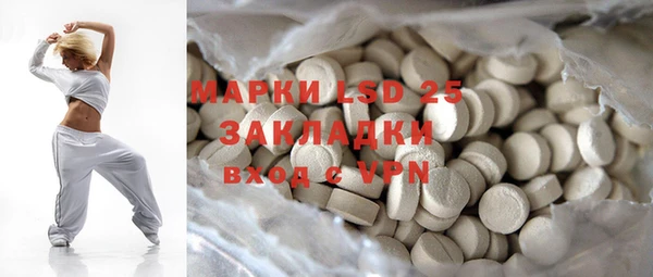 шишки Абаза