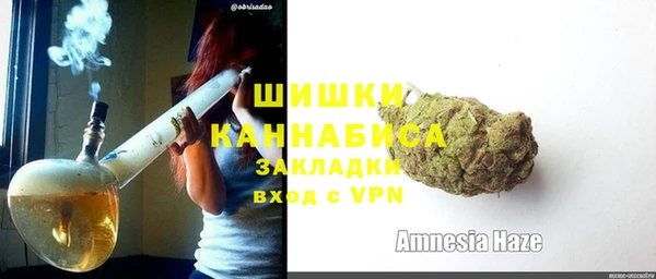 шишки Абаза