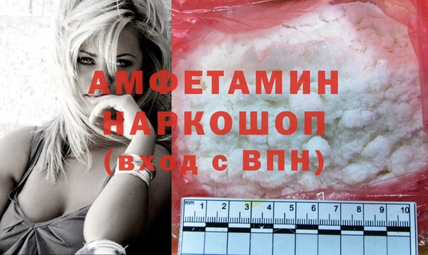 шишки Абаза
