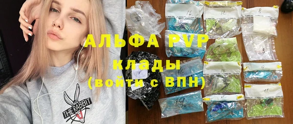 шишки Абаза
