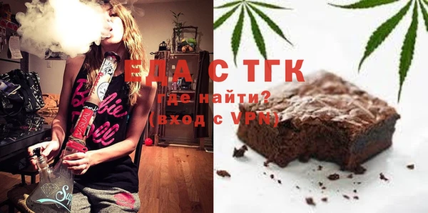 шишки Абаза