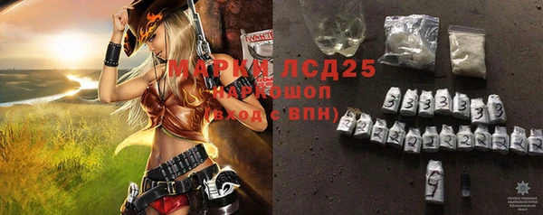 шишки Абаза