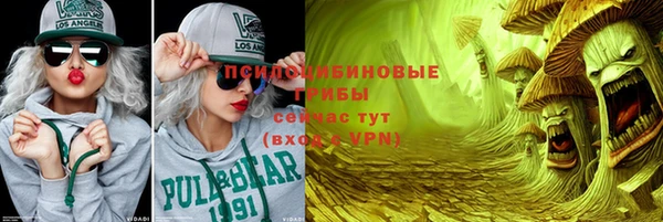 шишки Абаза