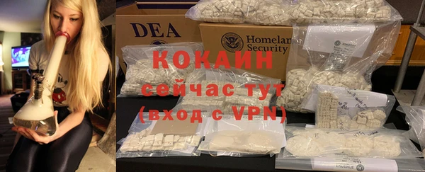 шишки Абаза