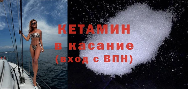 шишки Абаза