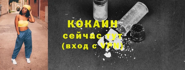 шишки Абаза