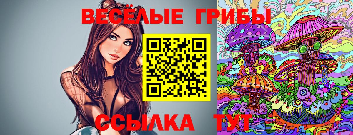 Галлюциногенные грибы Psilocybine cubensis  купить наркотики цена  Нижнекамск  Псилоцибиновые грибы мицелий  Вход с VPN 