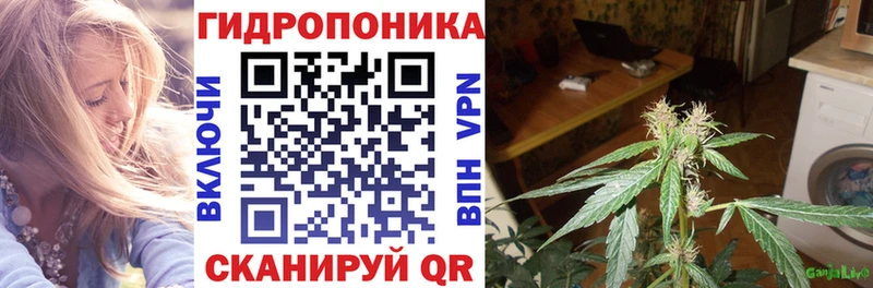 Шишки марихуана семена  Нижнекамск 